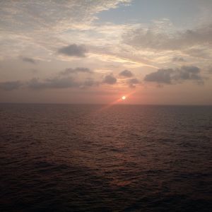 Meet your Posher, Donnie